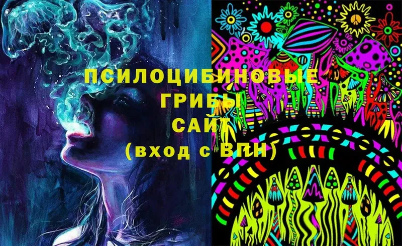 наркотики  Солигалич  Галлюциногенные грибы Magic Shrooms 